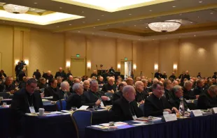 U.S. bishops meet at their fall general assembly in Baltimore, Maryland, in November 2019 Christine Rousselle/CNA
